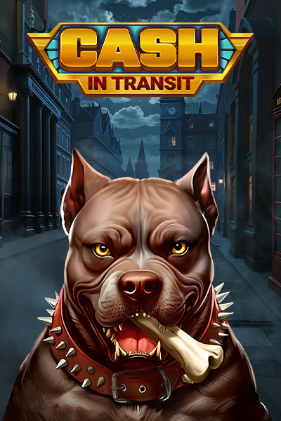 Cash in Transit